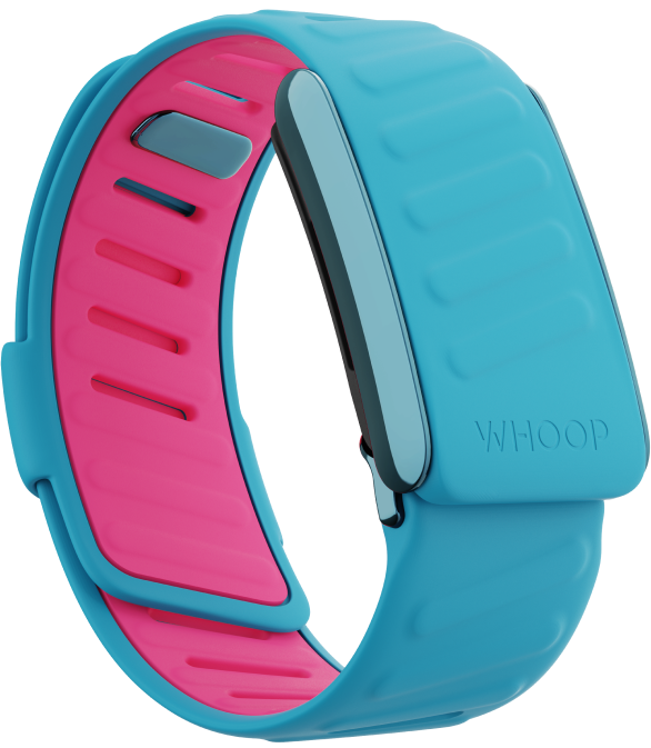 Whoop Sportflex band (3 colors available)