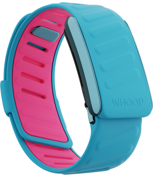 Whoop Sportflex band (3 colors available)