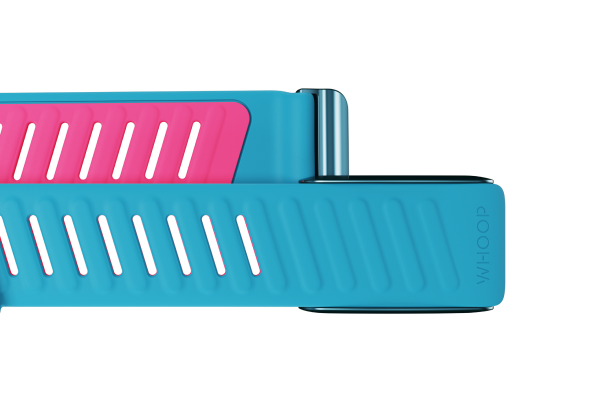 Whoop Sportflex band (3 colors available)