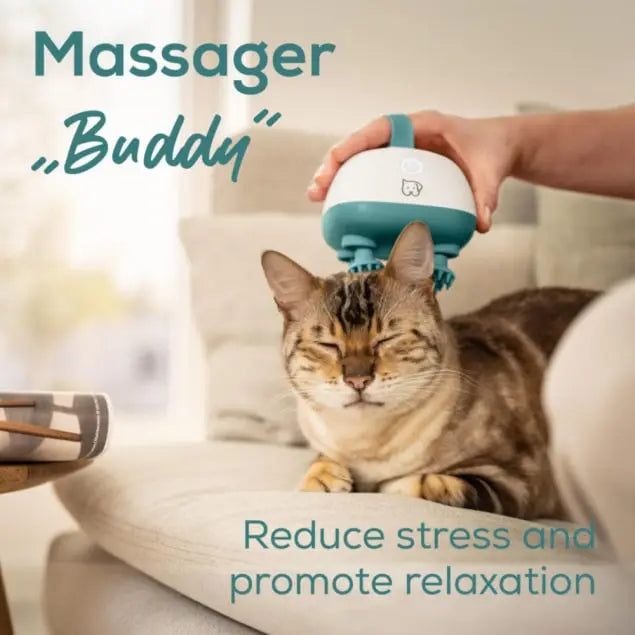 Beurer Buddy Massager PP 410