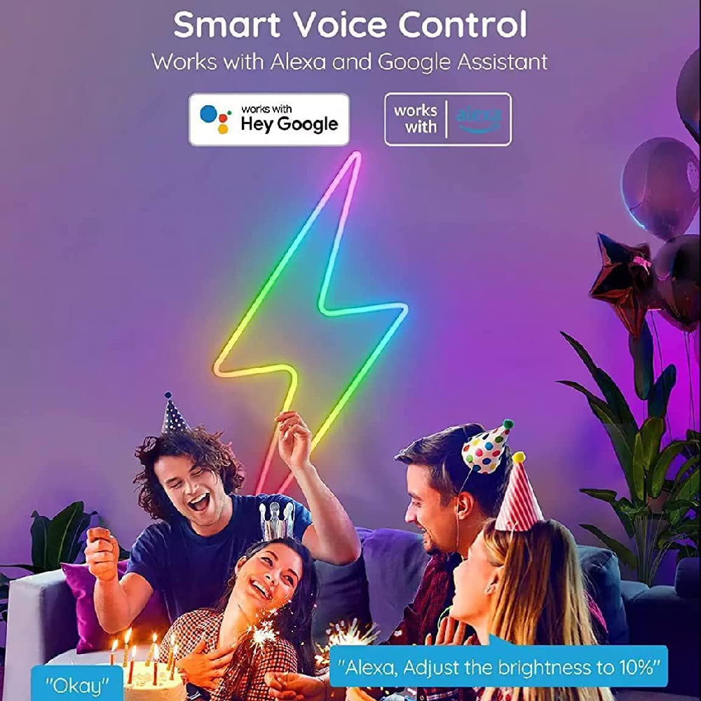 WIFI RGBIC Neon Rope Light: 5M 300LED WiFi Neon LED Strip Light 12V with Music Sync, Smart Life App Control, 5 Meters