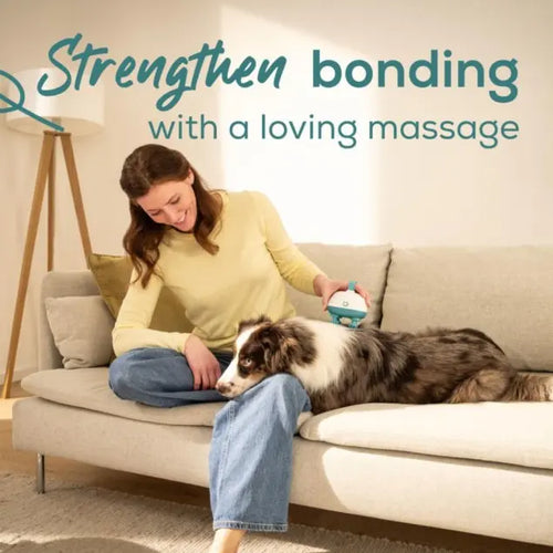 Beurer Buddy Massager PP 410