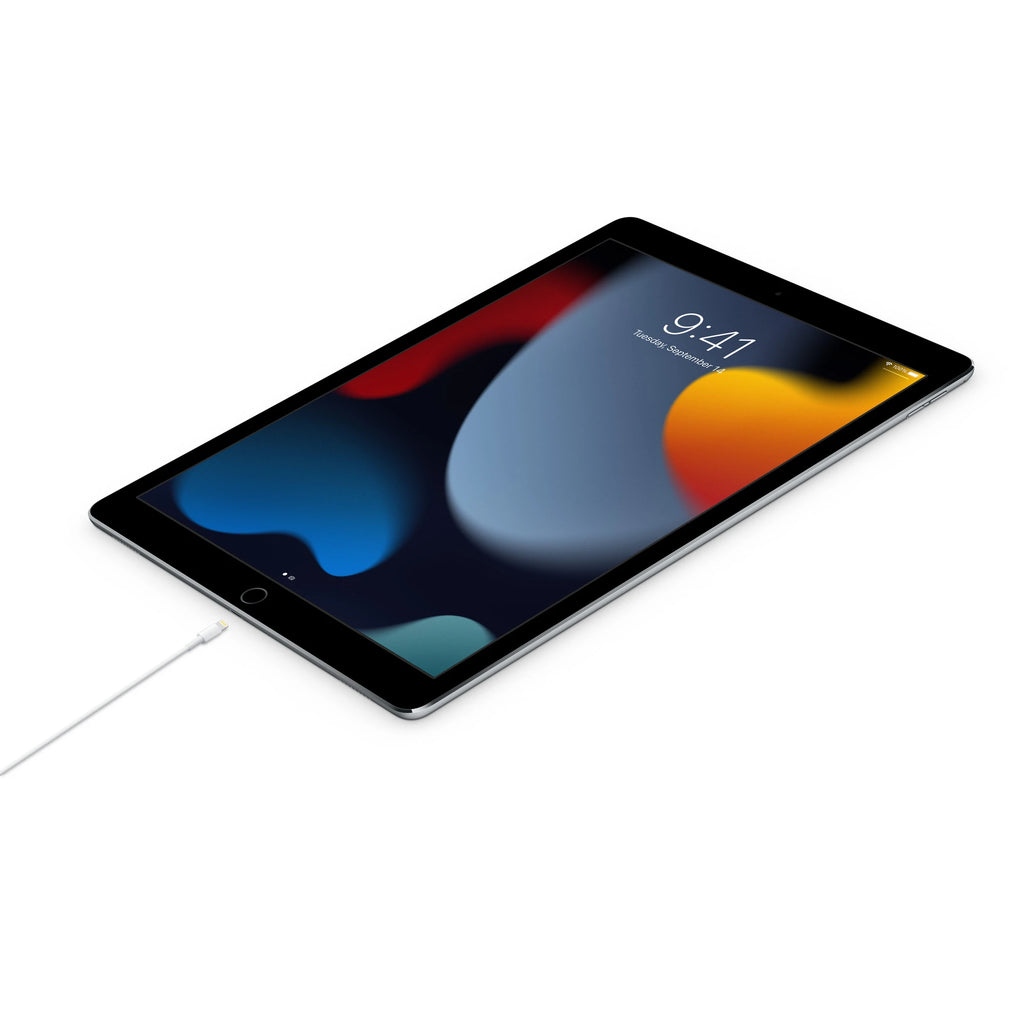 APPLE LIGHTNING TO USB-C  CABLE