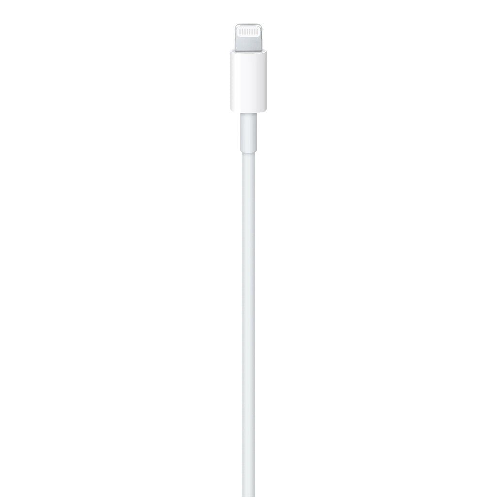 APPLE LIGHTNING TO USB-C  CABLE