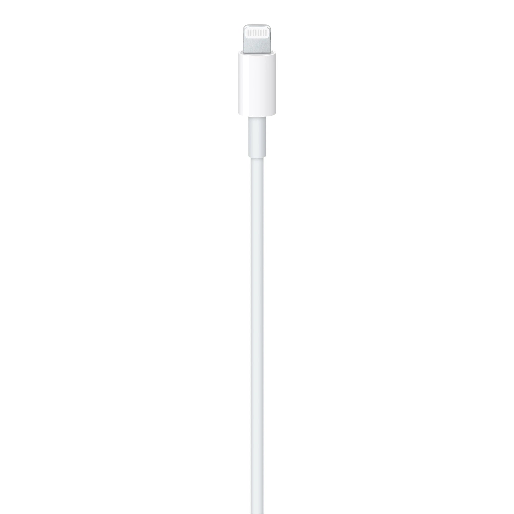 APPLE LIGHTNING TO USB-C  CABLE