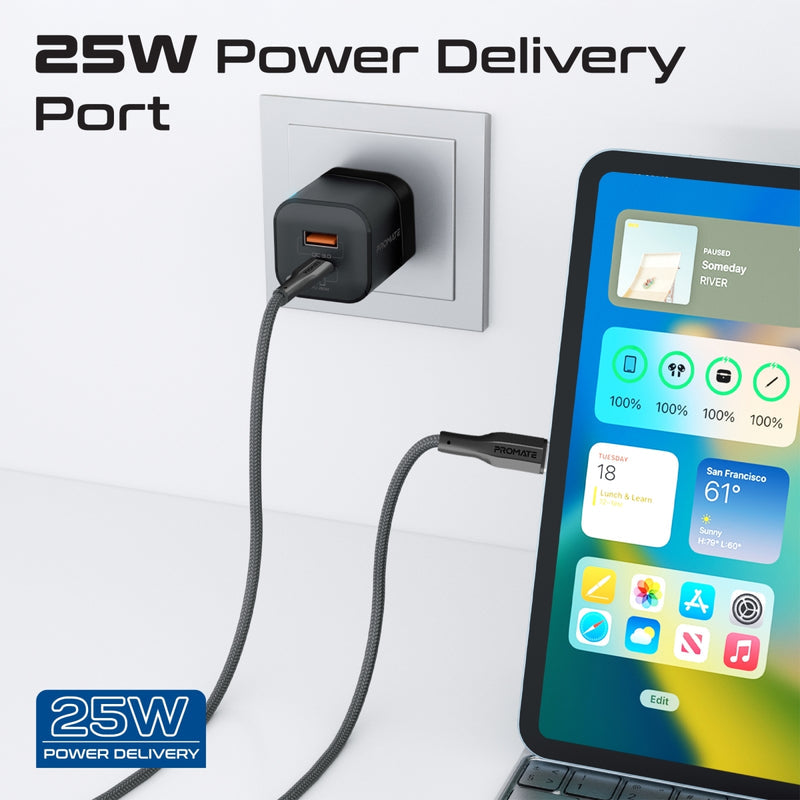 PROMATE POWERPORT-25CC