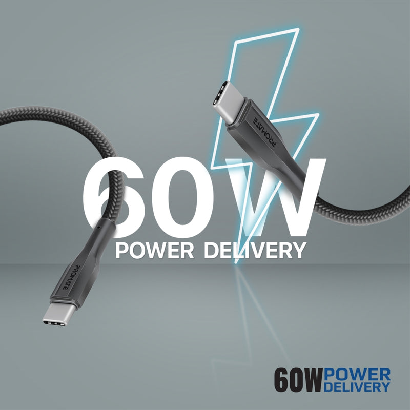 PROMATE POWERPORT-25CC