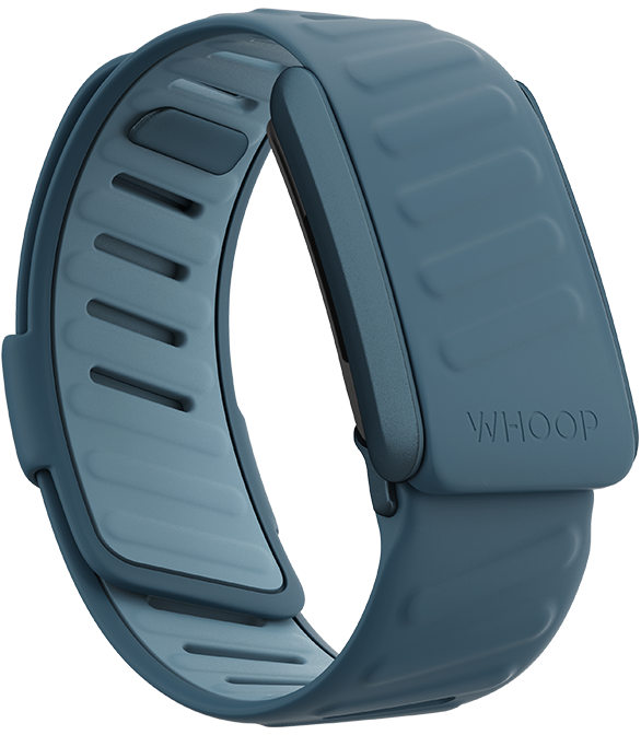 Whoop Sportflex band (3 colors available)