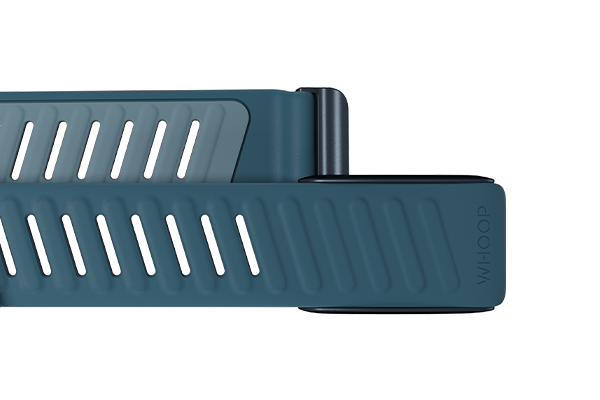 Whoop Sportflex band (3 colors available)