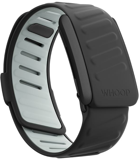 Whoop Sportflex band (3 colors available)