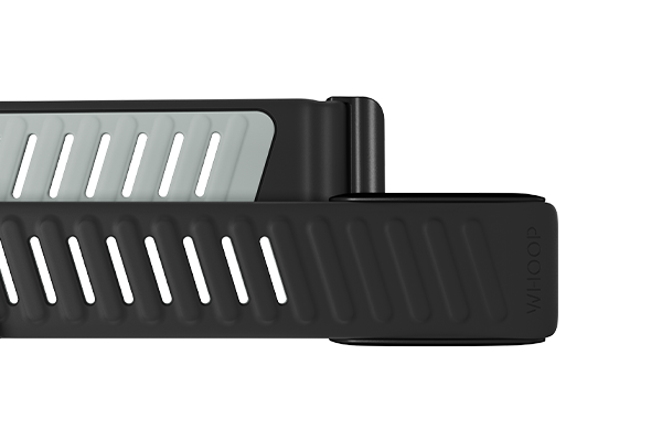 Whoop Sportflex band (3 colors available)