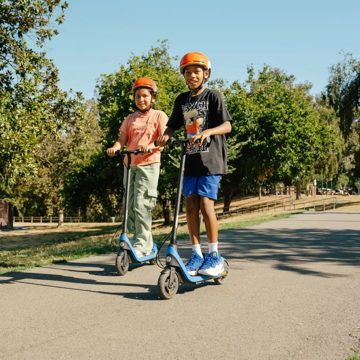 Ninebot Kickscooter C2 LITE