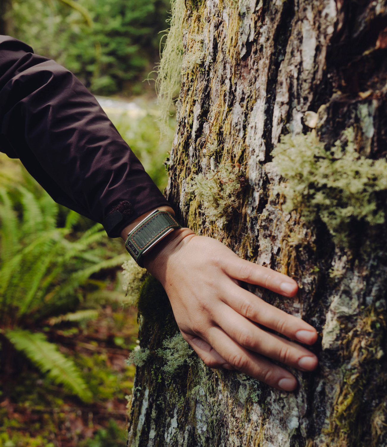 The WHOOP 5.0 Navigator Band in Evergreen