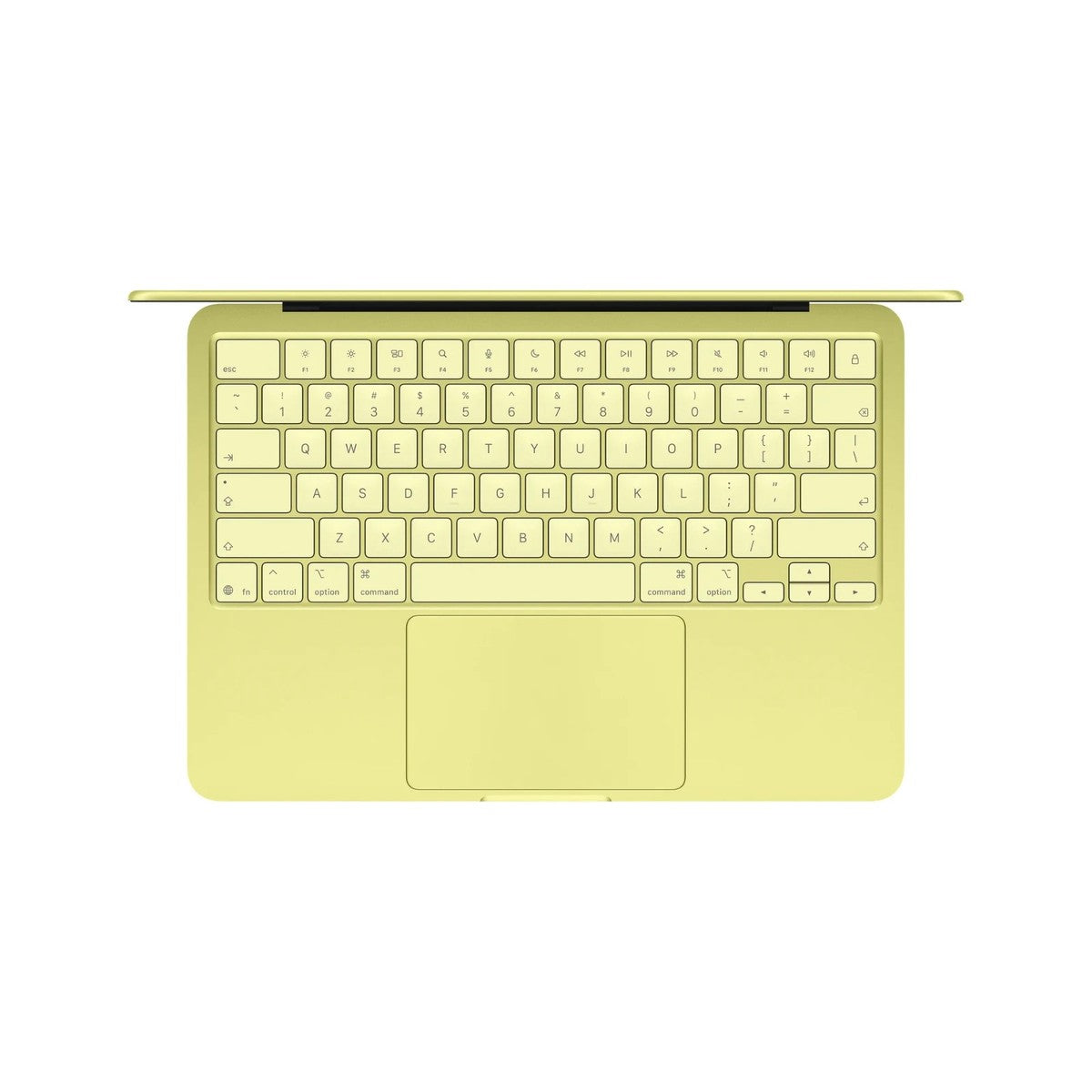 Apple MacBook A18 PRO 6-Core Chip